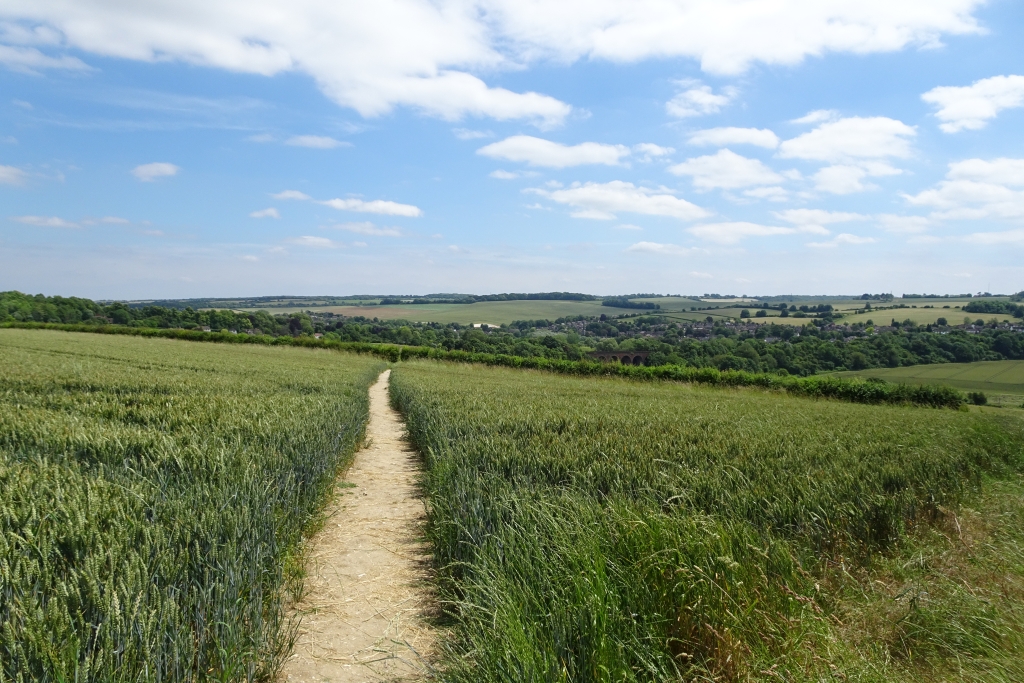 Path Near Eagle Heights Wildlife Centre Ds Pugh Cc By Sa