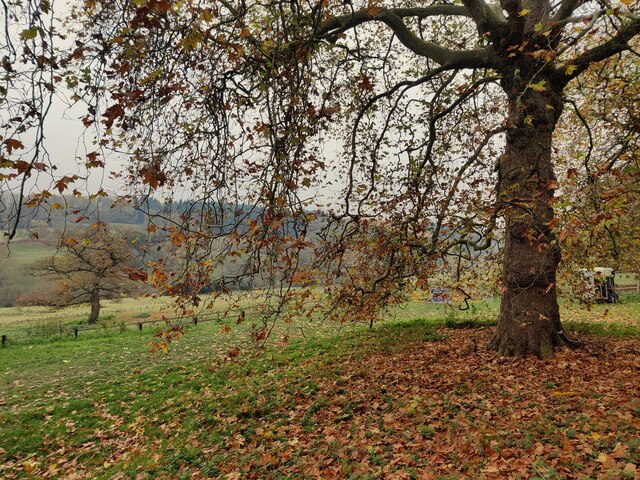 Autumn Colours Near St Peter S Church Mat Fascione Geograph