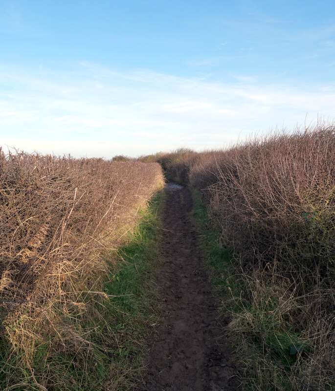 The Cleveland Way On The Warsett Hill Habiloid Cc By Sa