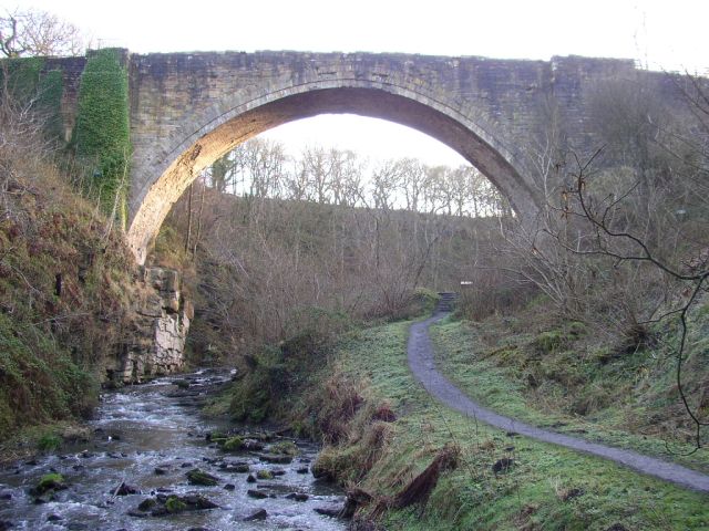 Causey Arch