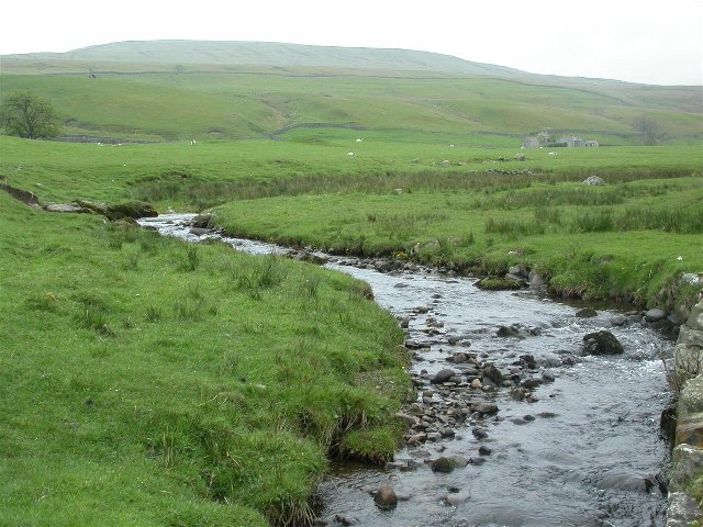 river tees photo