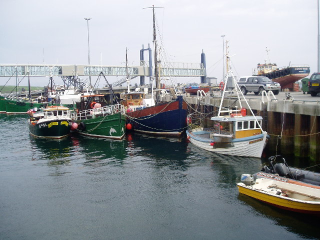 Pier Boats