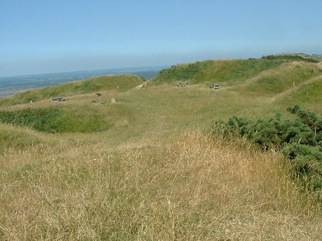 flower barrow