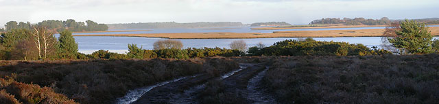 Arne Rspb