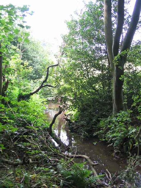 Pudsey Beck Mick Melvin Cc By Sa Geograph Britain And Ireland