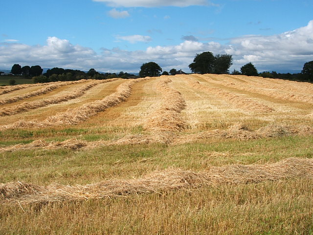 What Is Commercial Arable Farming In Geography