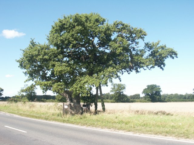 kett makeup. Kett#39;s Oak, Hethersett:: OS grid TG1303 :: Geograph Britain and .