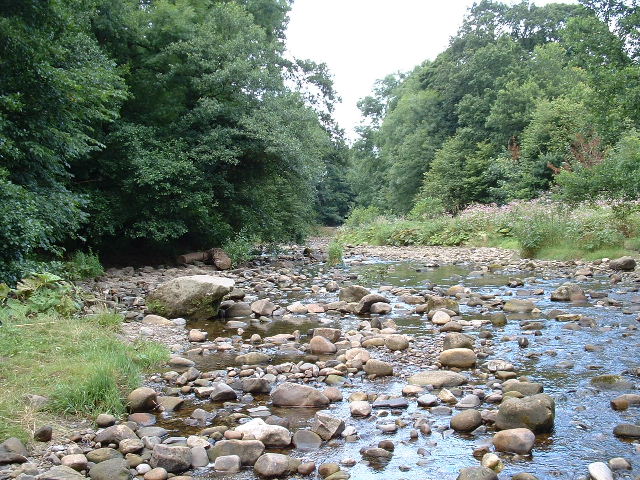 River Brock