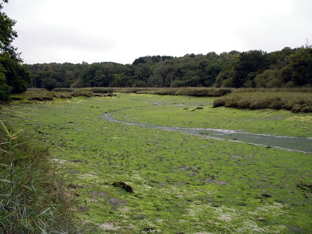 River Hamble