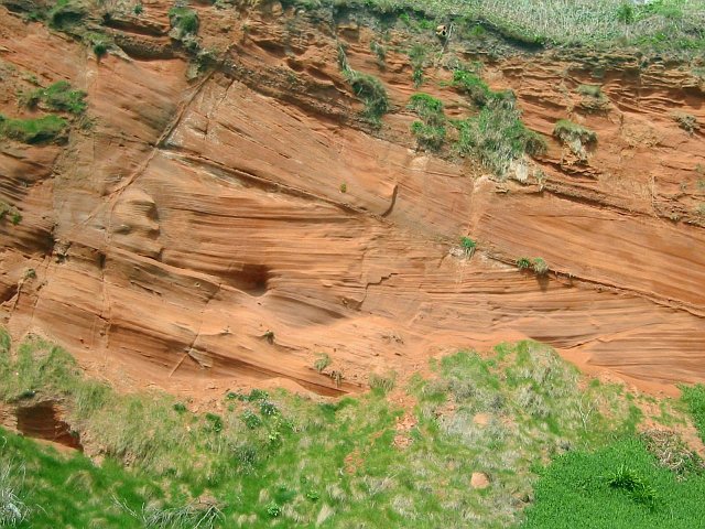 Cross-bedded Permian Sandstone