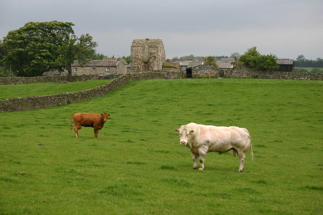 Scargill Castle