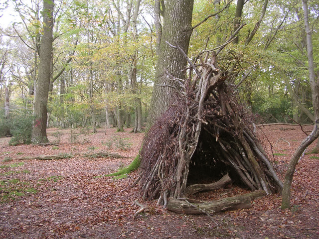 Temporary wooden shelter on Lyndhurst... \u00a9 Jim Champion :: Geograph Britain and Ireland