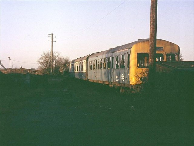 Carriages Fighting Cocks