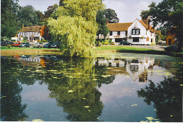 TQ3451 : Godstone Village Pond