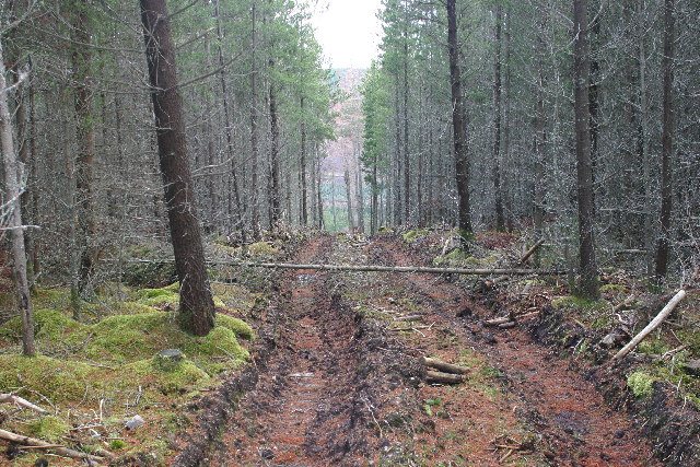 Bulldozer Track On Scaut Hill Iain Macaulay Cc By Sa Geograph