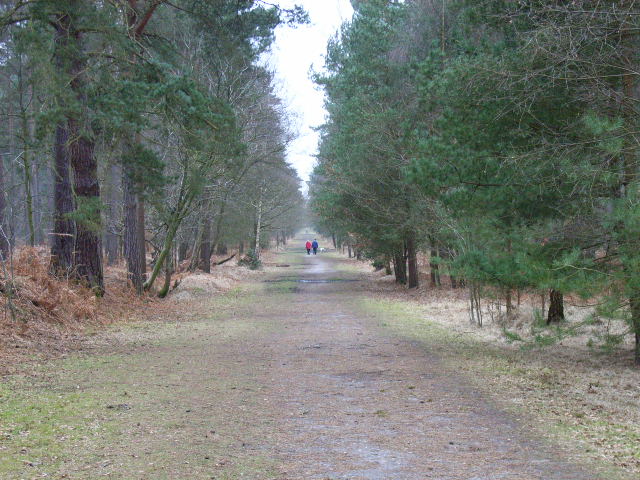 swinley park