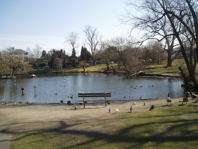 Village Pond