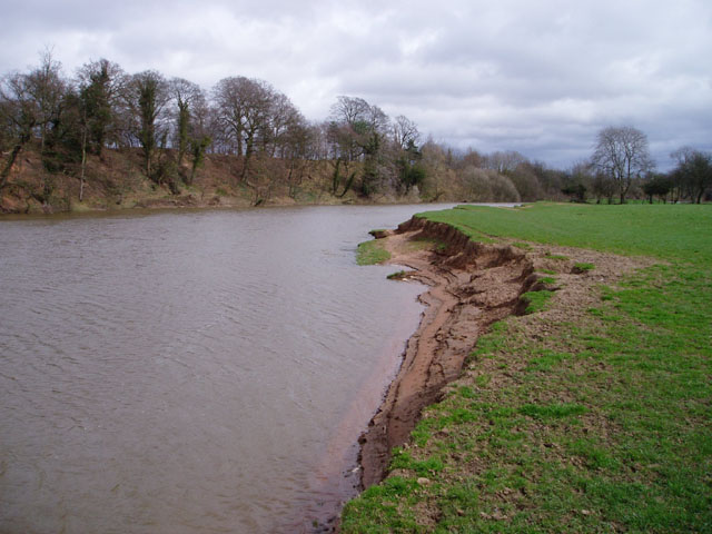 River Severn Meanders