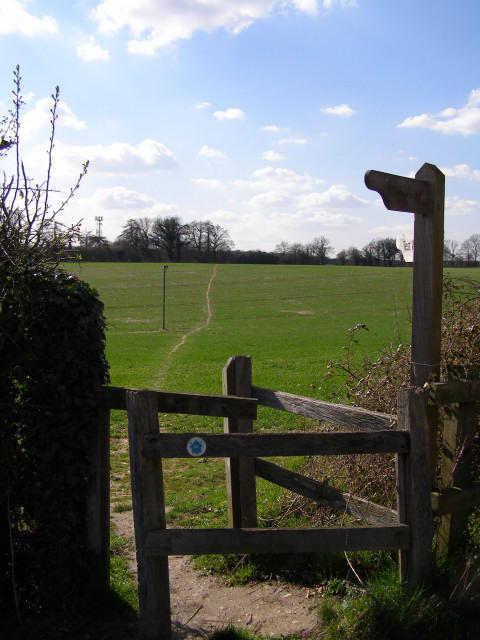 Official diversion of the Test Way, near Forton