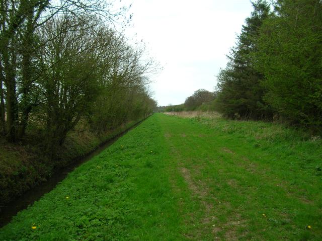 Bridleway Above Lockwood S Plantation DS Pugh Cc By Sa 2 0