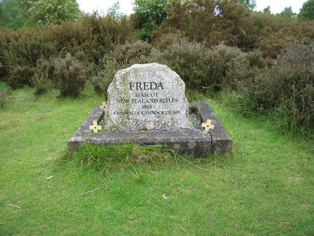 Freda's Grave Cannock Chase Freda was a Dalmation dog