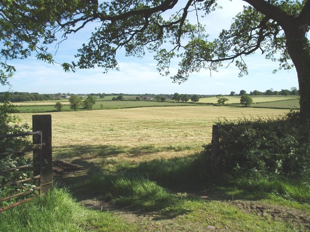 Cheshire Countryside