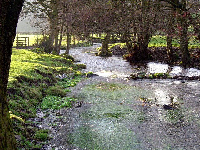 This beck runs from Dalby Forest and through Thornton-le-dale.