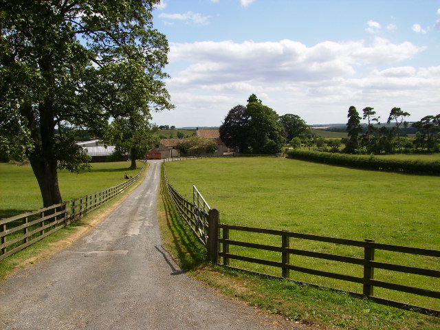 Driveway To Beadlam Grange © Phil Catterall :: Geograph Britain And Ireland