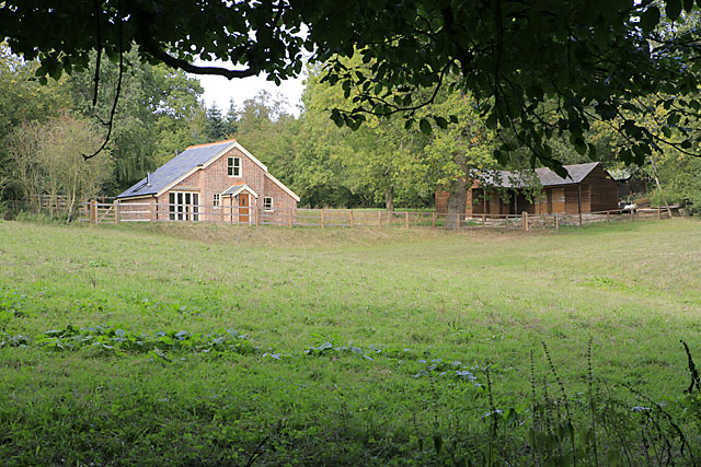 Cottage Forest