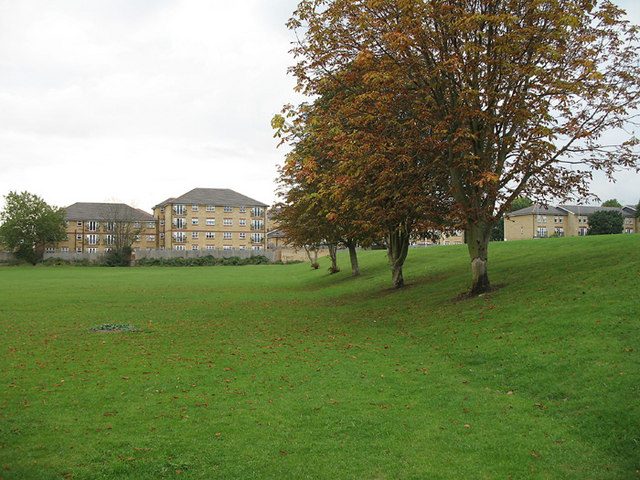 Sports Field Pictures