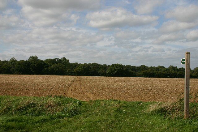 Footpath To Bradfield St George Bob Jones Geograph Britain And Ireland