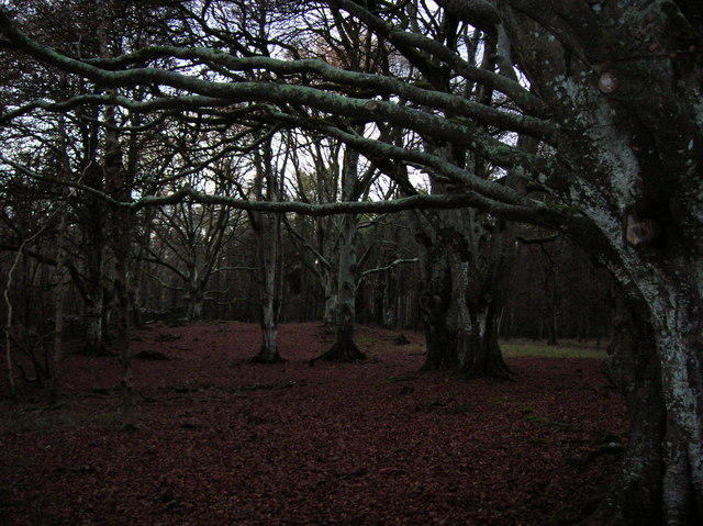 Portumna Ireland