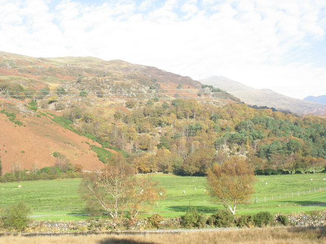 Afon Glaslyn Floodplain