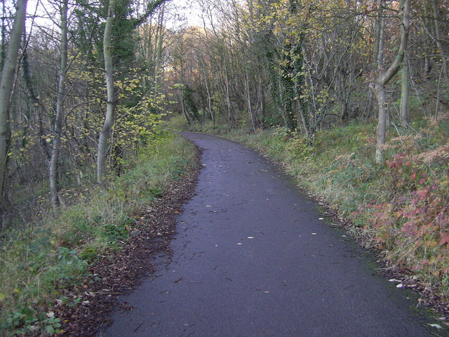 Castle Eden Dene