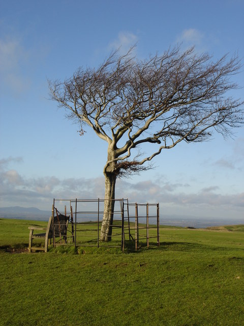 Cleeve Hill