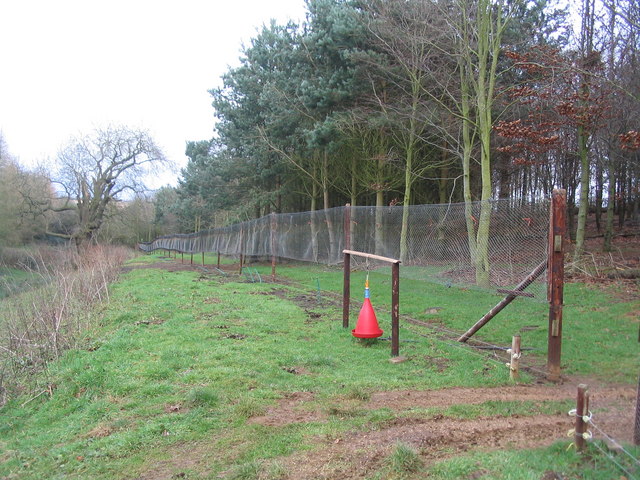 New pheasant-rearing pen \u00a9 Tim Heaton :: Geograph Britain and Ireland