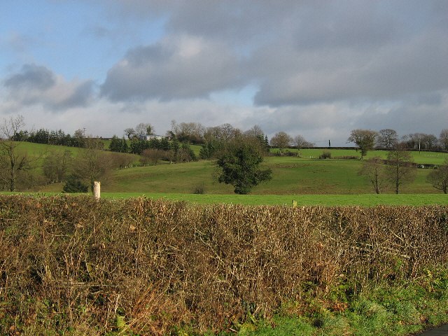 Hedge Field And Trees © Roger Gilbertson Cc By Sa20 Geograph