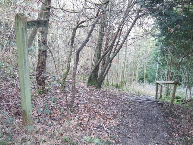 druids grove