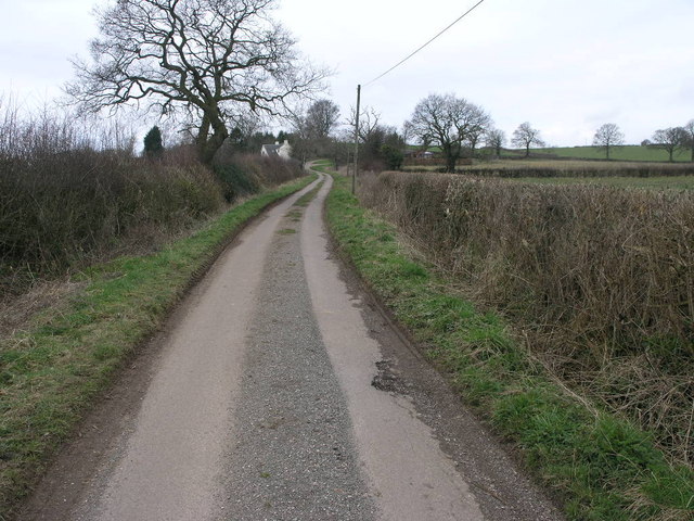 Winding Lane