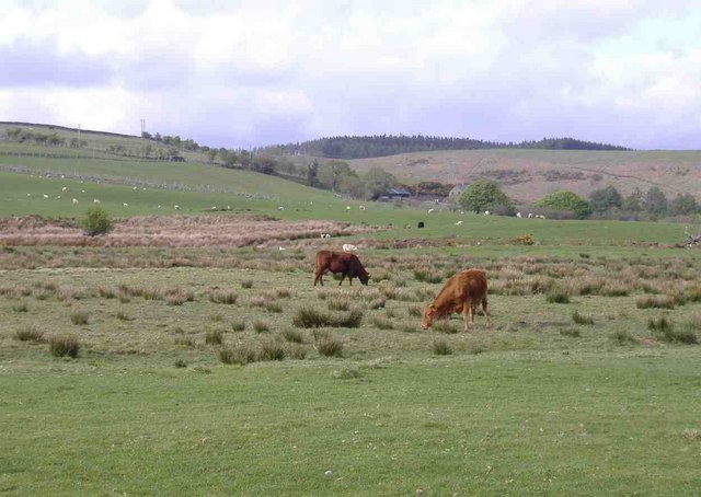 Cefn Coed Farm © Roger Cornfoot Cc By Sa20 Geograph Britain And 4402