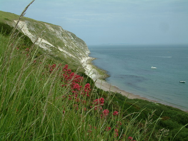 Swanage Os Map