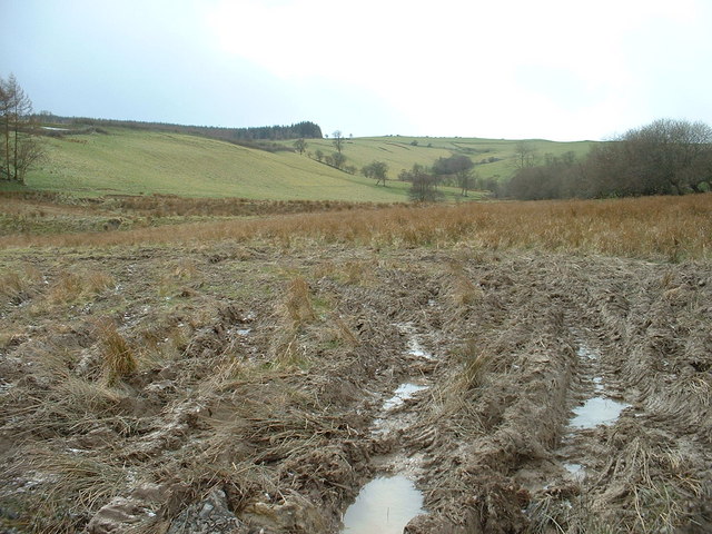 Boggy Ground Near Maes gwyn David Medcalf Geograph Britain And Ireland