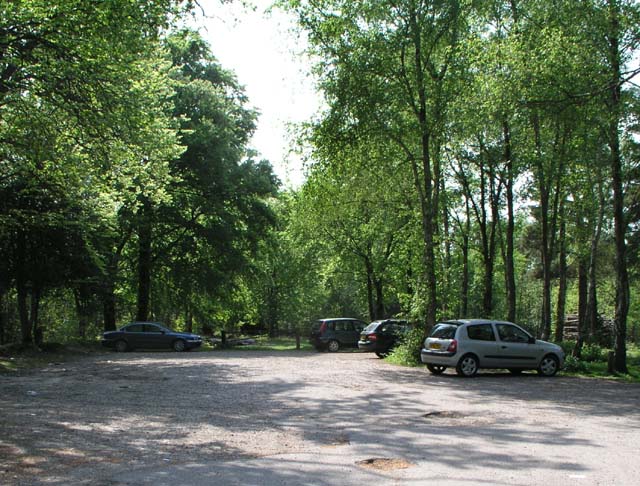 forest car park