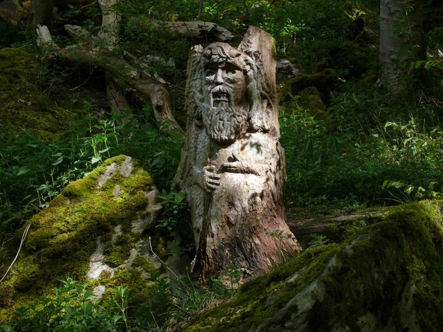 Carved Stump