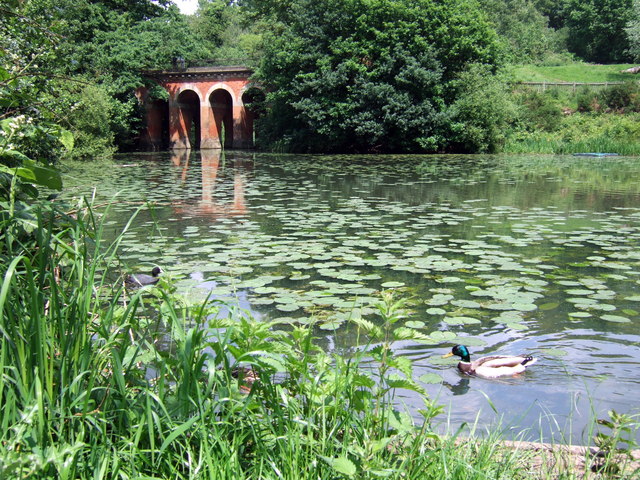 pond and bridge