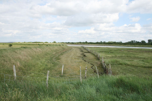 marsh-drainage-into-conyer-creek-jacqui-sadler-cc-by-sa-2-0