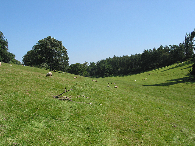 Footpath Through Grazing Land Pauline E Cc By Sa Geograph