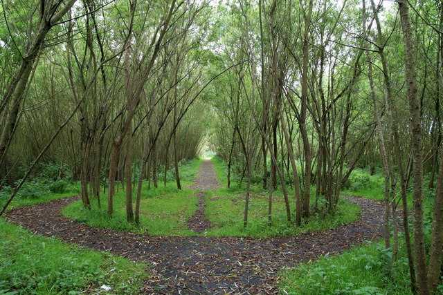 Ballymena Ecos Centre