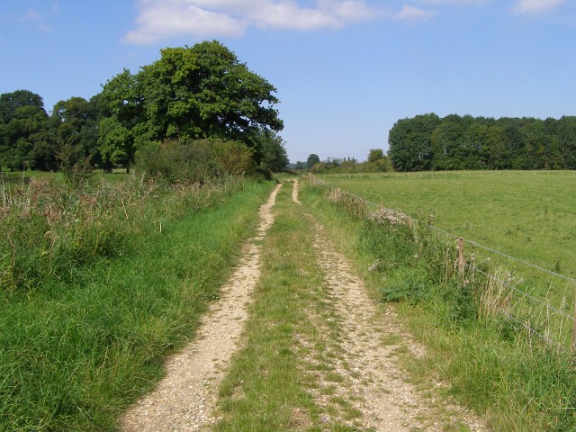 Test Way footpath near Town Copse
