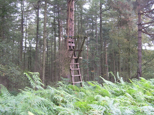 Deer shooting season northern ireland